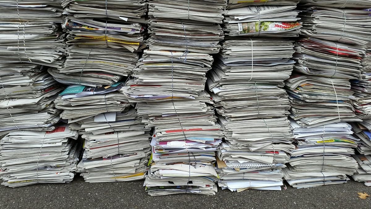 ONP Newspaper view 4